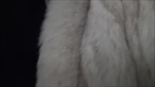 Vérifiez votre âge