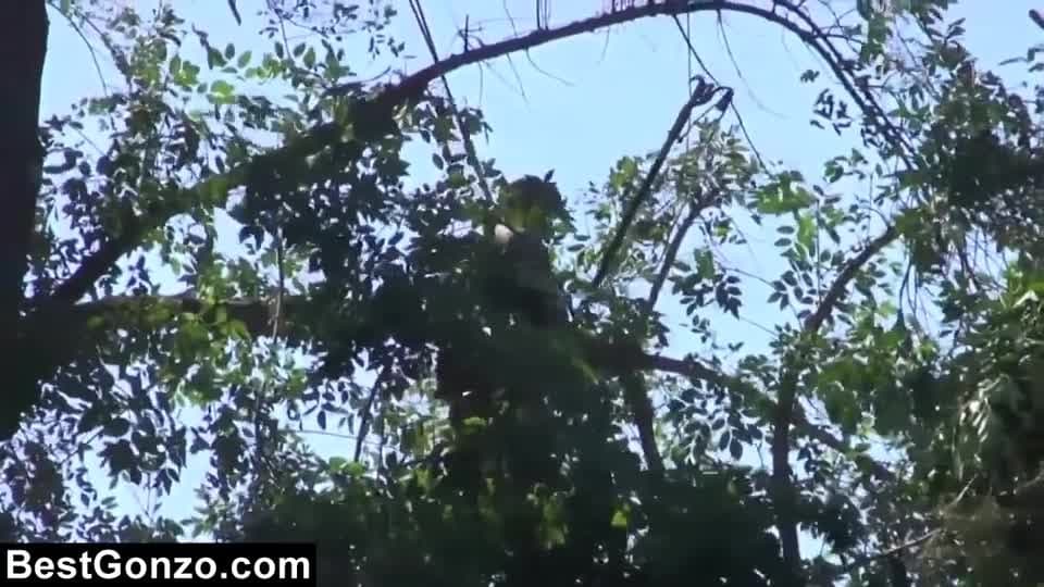 Vérifiez votre âge