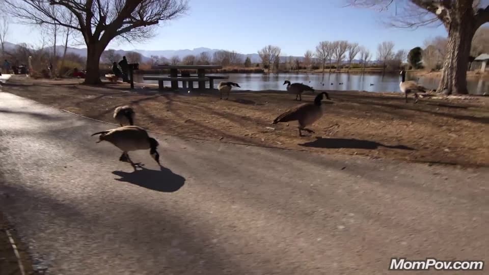Vérifiez votre âge