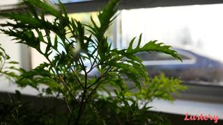 Vérifiez votre âge