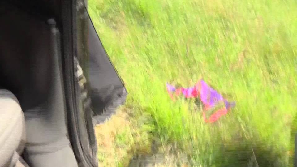 Dans le taxi de la baise avec une chaudasse...
