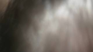 Vérifiez votre âge